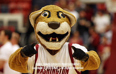 Butch T. Cougar - Washington State University - Mascot